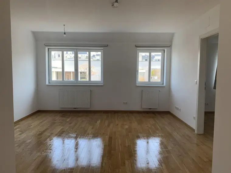 Attila Déry, IES Immobilien-Projektentwicklung GmbH