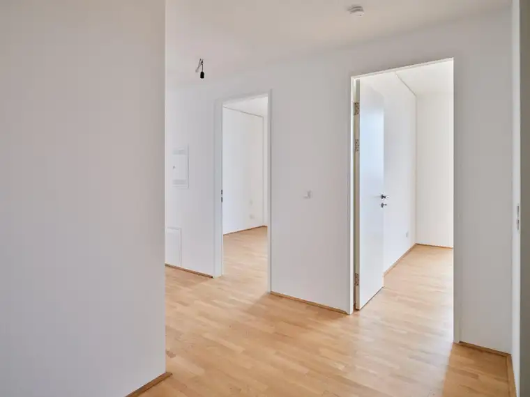 Michael Pinzolits, IES Immobilien-Projektentwicklung GmbH