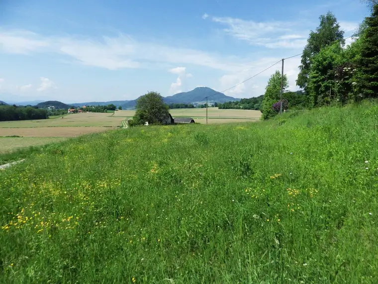 Sonniges Baugelände ca. 3.921 m², in Maria Saal, Nähe Klagenfurt, geeignet sowohl für BAUTRÄGER als auch für Privatkäufer