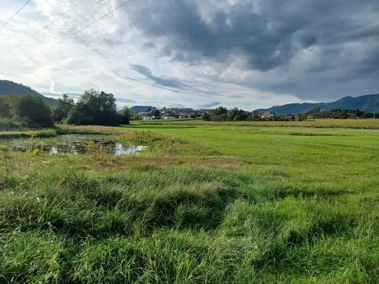 Schönes, ebenes Grundstück zur Freizeitgestaltung mit großem Teich, ca. 13.600 m² in Völkermarkt