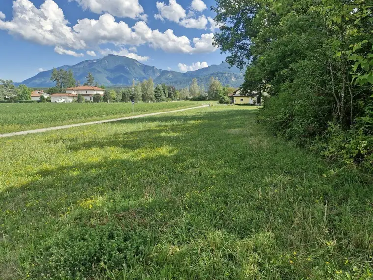 Traumhaftes Baugrundstück mit 3150 m² im Unterkärntner Seengebiet, Bergblick!