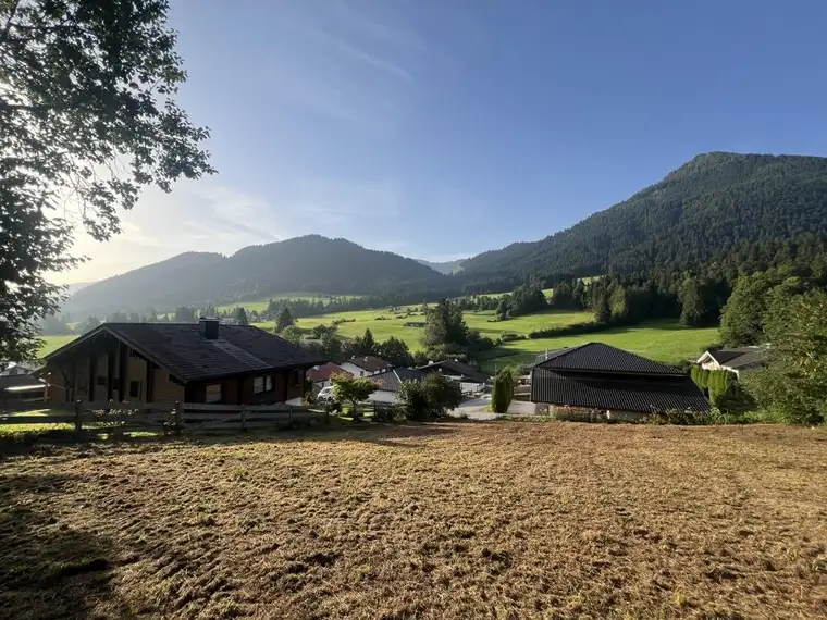Walchsee – Ein Stück Paradies im Weiler Seeblick