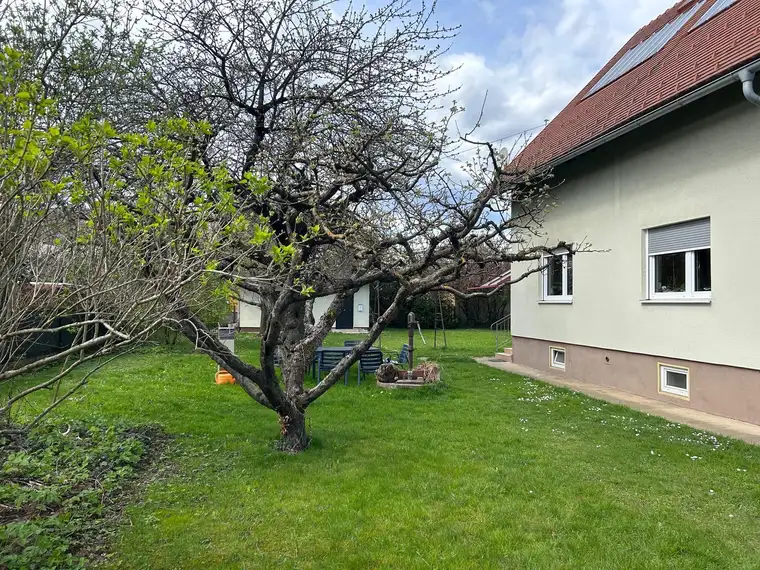 Elegante 2-Zimmer Wohnung(Hausetage) mit Gartennutzung (Einfamilienhauslage) in Strassgang zu vermieten