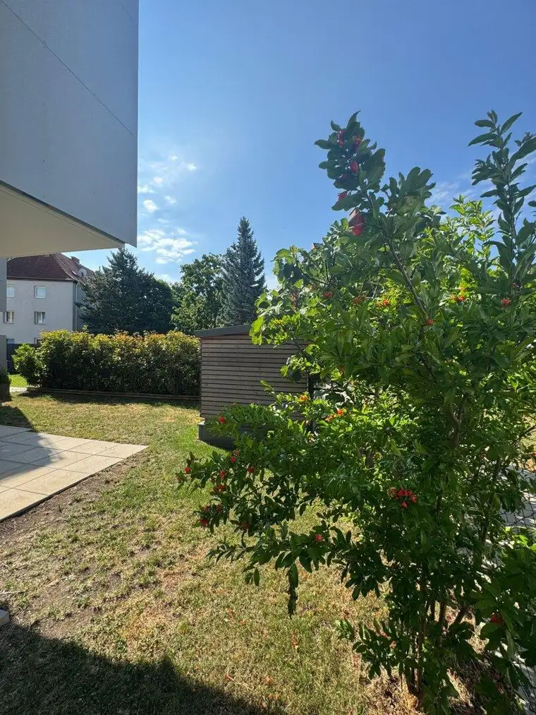 Pärchentraum_2 Zimmer Gartenwohnung mit Kaufoption_ab sofort verfügbar