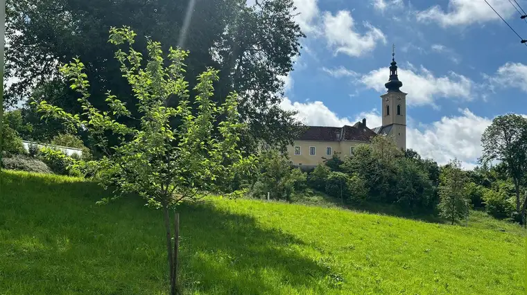 DEINE AUSSICHT von der 4 -Zimmer Gartenwohnung! Familienwohntraum mit angrenzenden Bildungseinrichtungen und dem GRÜNEN Extra!