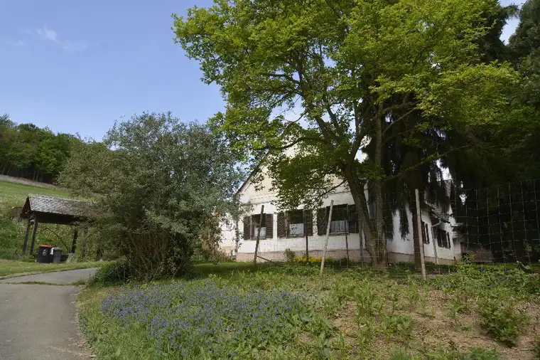 Geschlossene Landwirtschaft in Alleinlage mit 5,8 ha und zwei Dreikanthöfen – eine seltene Gelegenheit!
