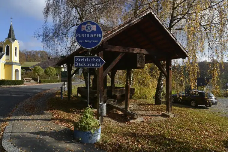 Rarität-Sofortbezug- Einzigartige Immobilie mit Geschichte und Zukunft – steirisches Backhendl inklusive