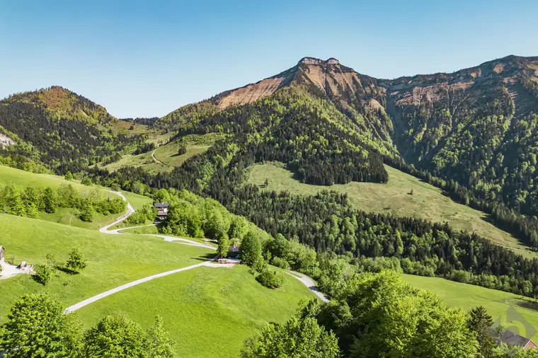 Baugrund in der wunderschönen Gaißau