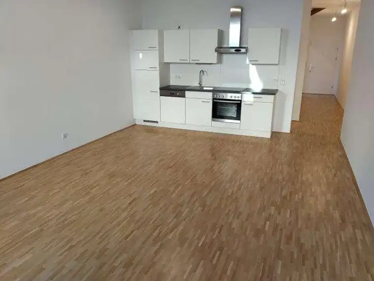 3 ZIMMER-Wohnung, neuwertige Einbauküche, Klimaanlage, neuwertige Sanitäranlagen (Bad + WC), Lift!