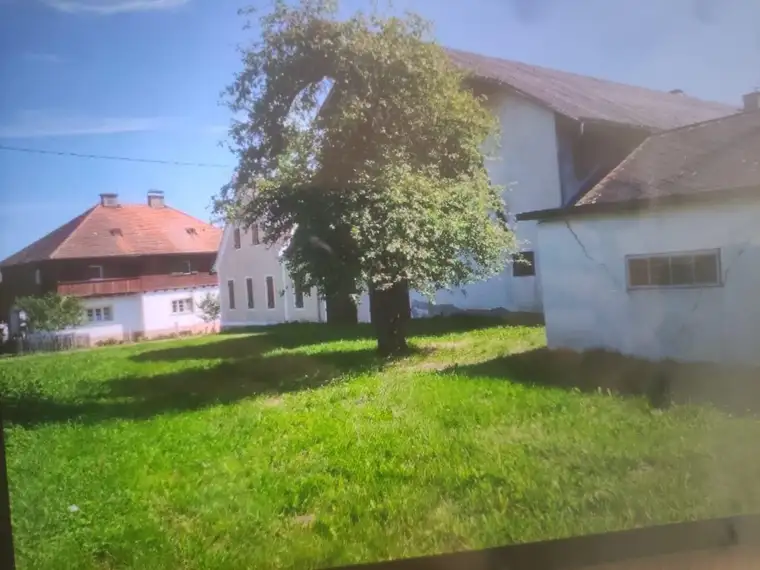 Michael Steiner, Dr. Steiner Immobilien OG