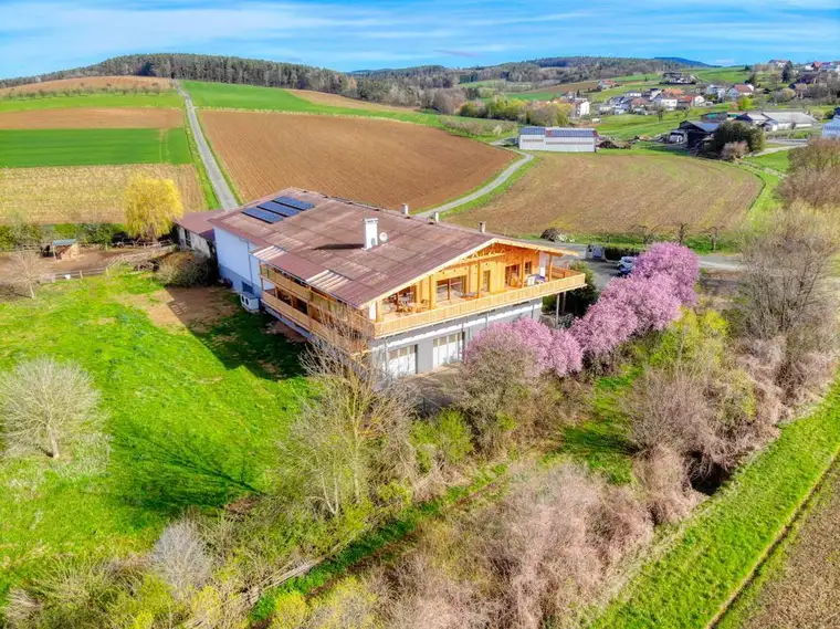 Singlewohnung zu vermieten