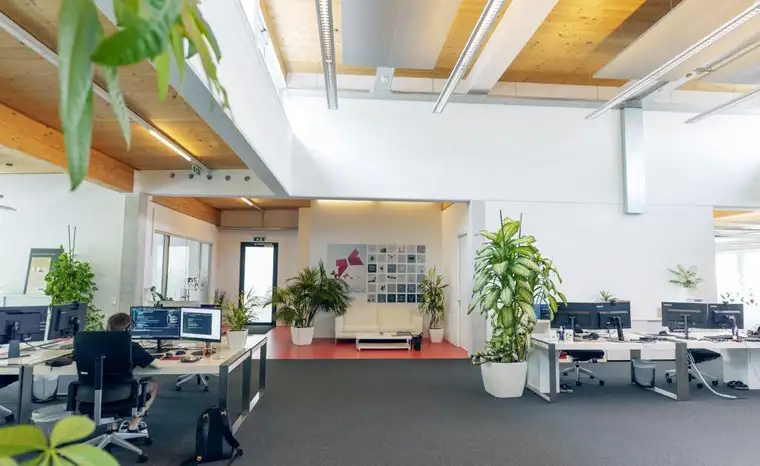 425 m² moderne Büro- oder Praxisfläche mit optimaler Verkehrsanbindung in Linz/Urfahr