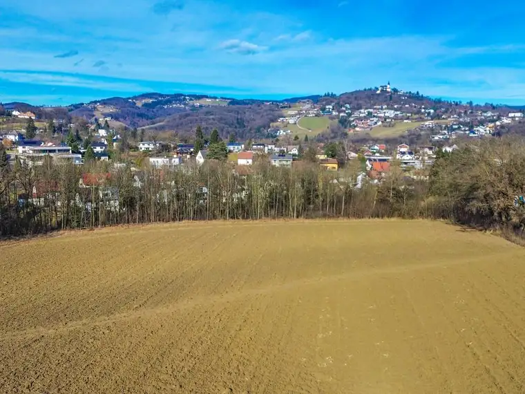 Ca. 10 Ha. Exklusive Landwirtschaftliche Fläche mit Wald in Bestlage – Leonding | Zaubertal