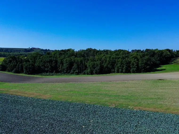Waldgrundstück mit 10 ha Fläche in Scharten zu verkaufen!