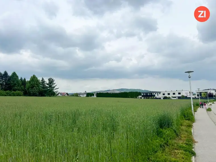 Traumhaftes Baugrundstück in zentraler Paschinger Aussichtslage