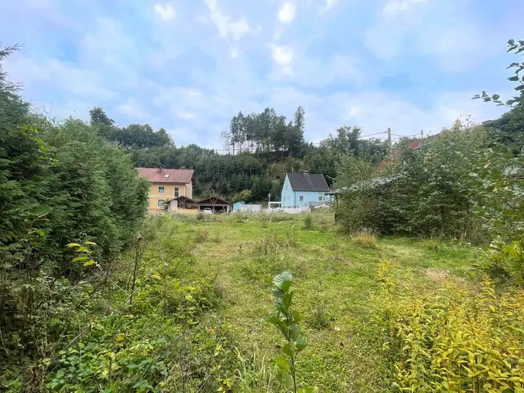 Großzügiges Grundstück in St. Ulrich bei Steyr – Natur, Ruhe &amp; Stadtnähe