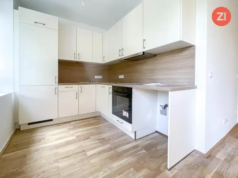 Renovierte 4- Zimmer Wohnung naher Brucknerhaus