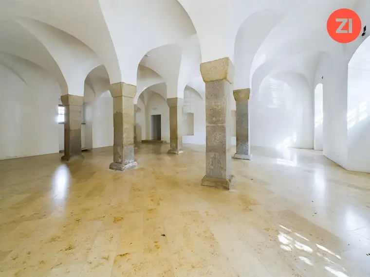 Einzigartige Gewerbefläche im Schloss Puchenau