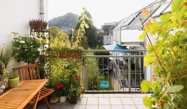 TOPLAGE IN ALTSTADTNÄHE Gepflegte, sonnige 4-Zimmer-Terrassen-Wohnung mit Grünblick