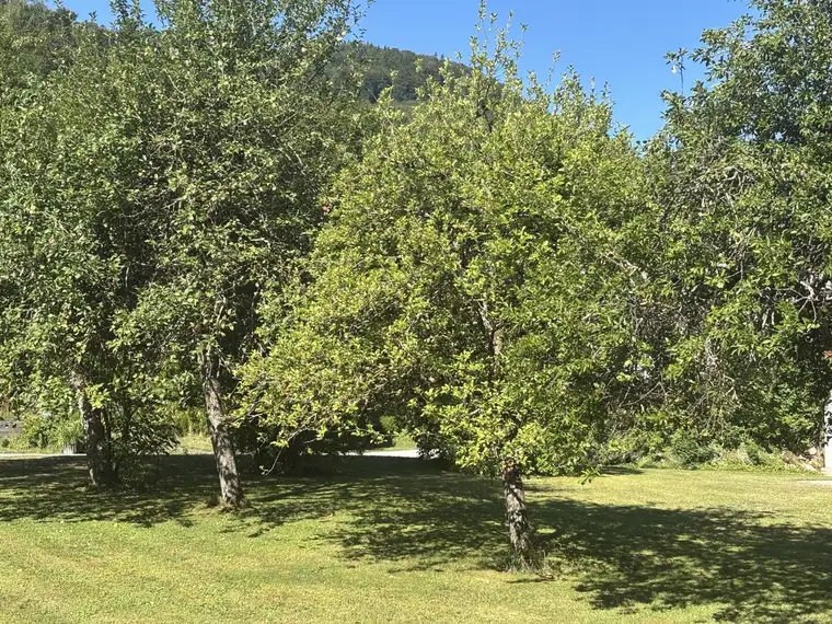 OBERASCH/HINTERSEE: Gemütliche 3-Zimmer-Gartenwohnung E3 in Holzbauweise, nur mehr wenige Garten-Wohnungen frei! PROVISIONSFREI!