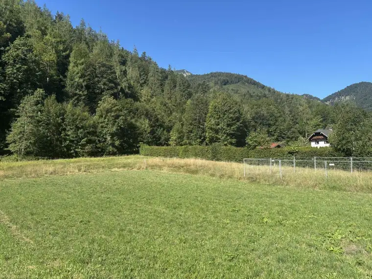 OBERASCH/HINTERSEE: Gemütliche 4-Zimmer-Terassen-Wohnung D12 in Holzbauweise, nur mehr wenige Wohnungen frei! PROVISIONSFREI!