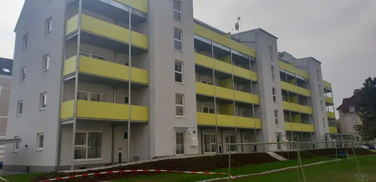 freundliche Mietwohnung