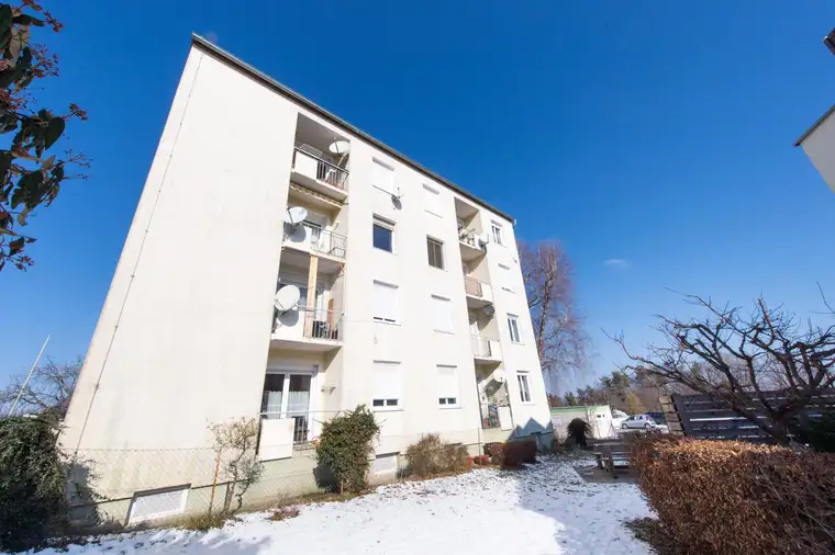 Elisabeth Preitler, Reichert Immobilien GmbH