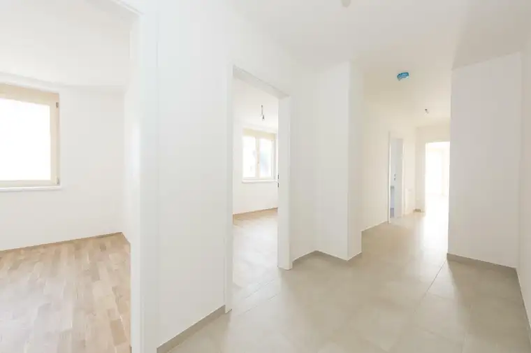 Elisabeth Preitler, Reichert Immobilien GmbH