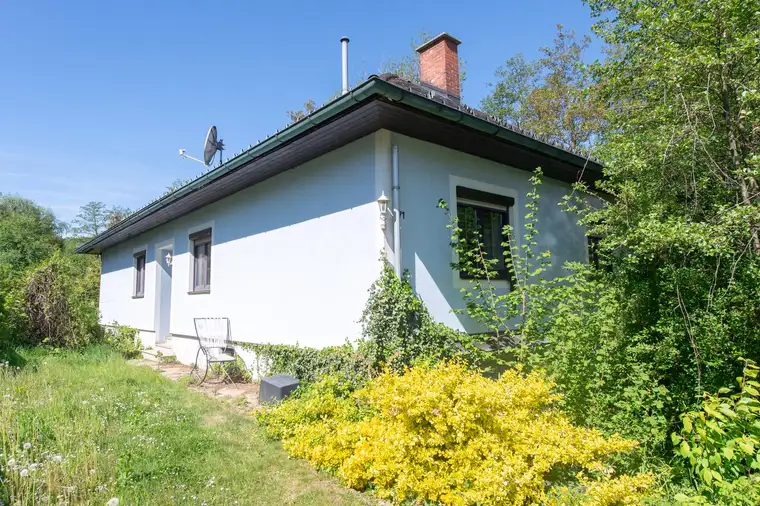 Ein Haus im Dornröschenschlaf – bereit für einen Neuanfang