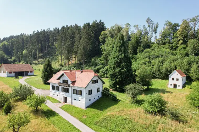 Elisabeth Preitler, Reichert Immobilien GmbH
