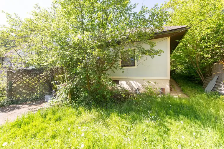 Elisabeth Preitler, Reichert Immobilien GmbH