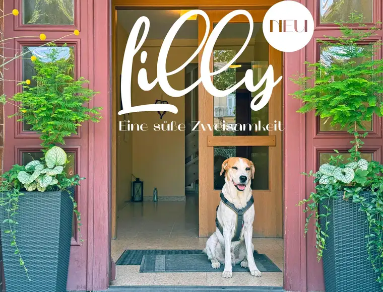 Lilly Eine süße Zweisamkeit