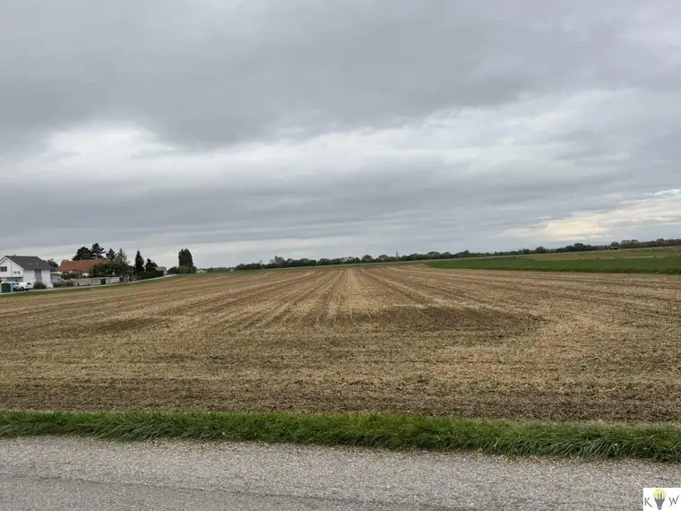 Großes Grundstück mit Entwicklungspotenzial in Sommerein – Nähe Bauland-Betriebsgebiet und Bauland-Wohngebiet!
