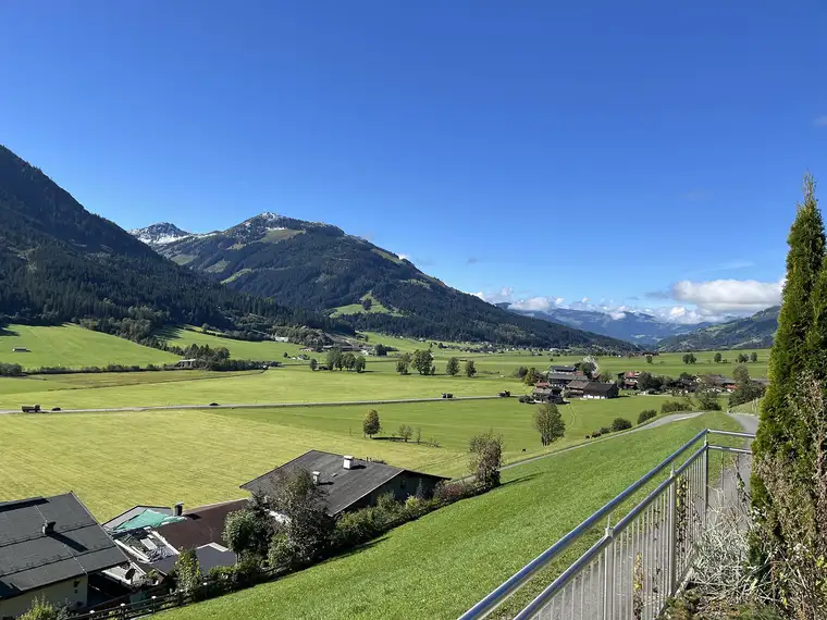 Grundstück mit Altbestand in sonniger Hang- &amp; Ausblicklage