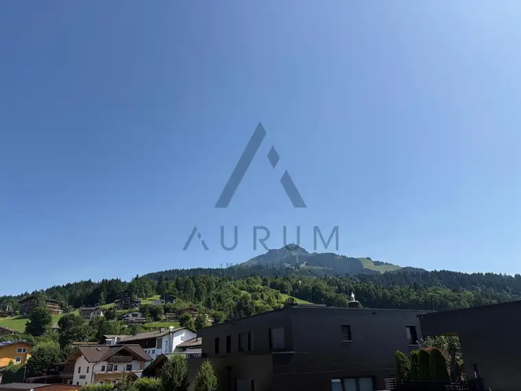 Aurum Immobilien GmbH & Co KG