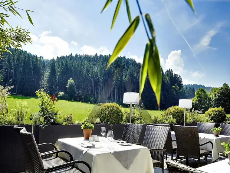 4 Zimmer-Apartment / Kitzbüheler Alpen / Tirol / Serviced Apartment