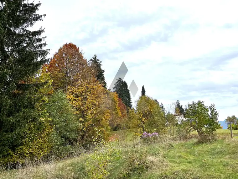 Grundstück mit Altbestand in schöner Ausblickslage