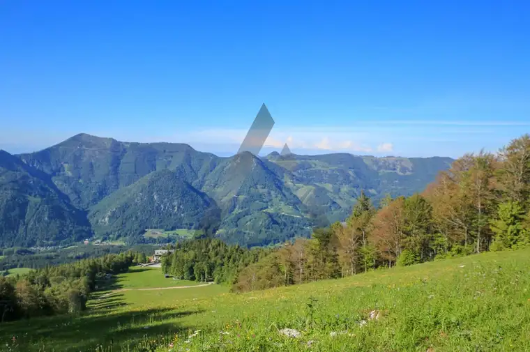 Vielseitiges Tourismusobjekt - Einmaliges Anwesen auf 1200 m im Almtal