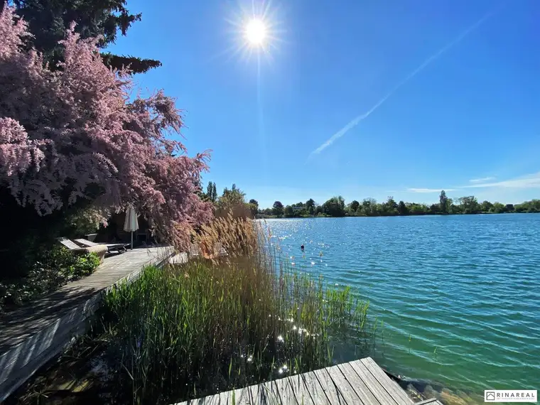 Seevilla südlich von Wien | Jeden Tag Urlaub | Direkter Seezugang | Eigengrund (ca. 978 m²) | Wellnessbereich mit Seeblick | Wunderschönes Landhaus | Birkensee