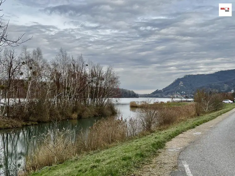"Moderne Badehütte in Altenberg Greifenstein:" Ein einzigartiges Bauprojekt mit Blick auf die Donau - Realisiert von DialogHaus.