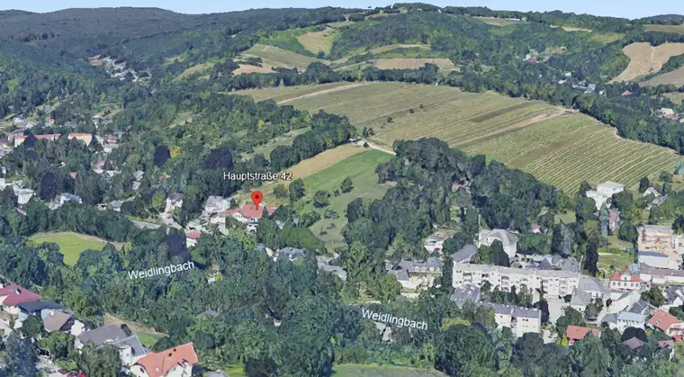 Direkt am Weinberg | Südhang-Lage mit großem Garten und eigenem Weingarten