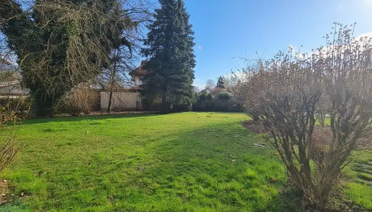 Gertraud Ramerstorfer, Immobilien Ramerstorfer