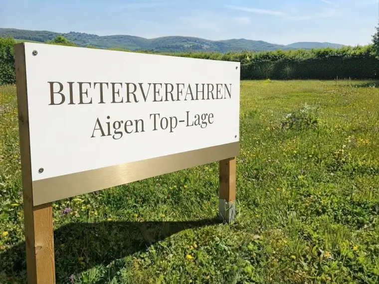 Bauträger-Rarität (BIETERVERFAHREN)