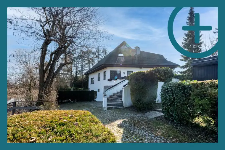 Alexander Pluskota MA CIS ImmoZert, PLUSKOTA IMMOBILIEN GMBH