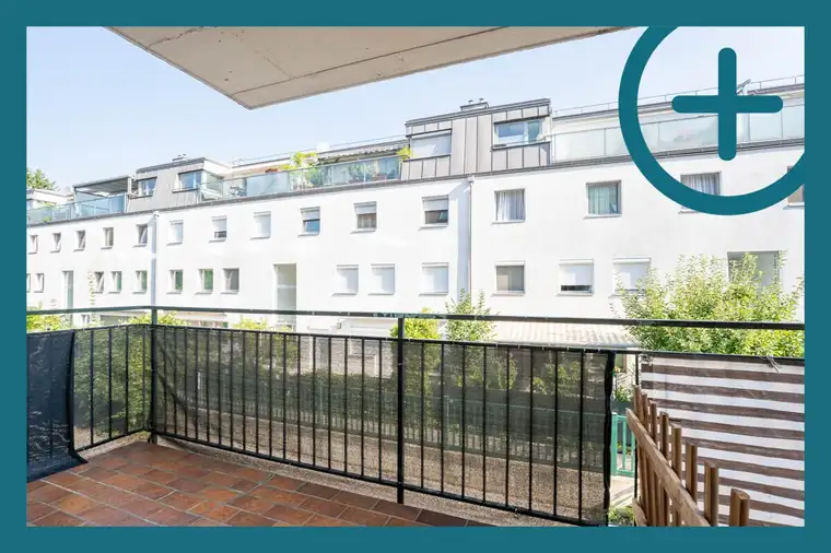 Sebastian Sokal BA, PLUSKOTA IMMOBILIEN GMBH