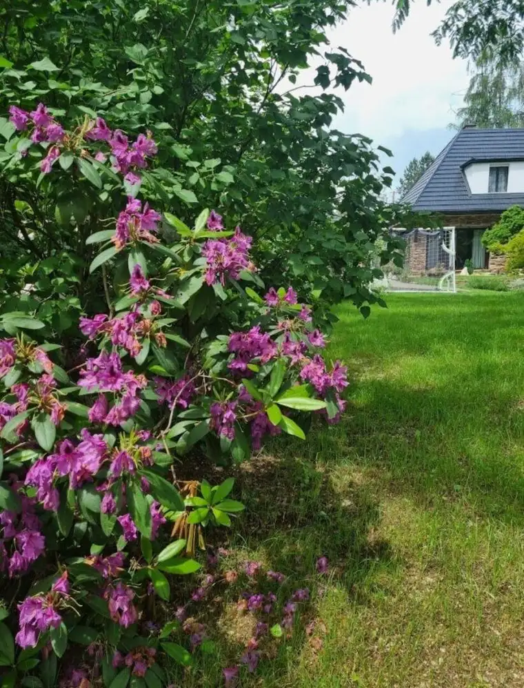 Charmantes Landhaus - Nähe Graz - ländliche Idylle **Ihr Traumhaus mit 1936m² Grund**