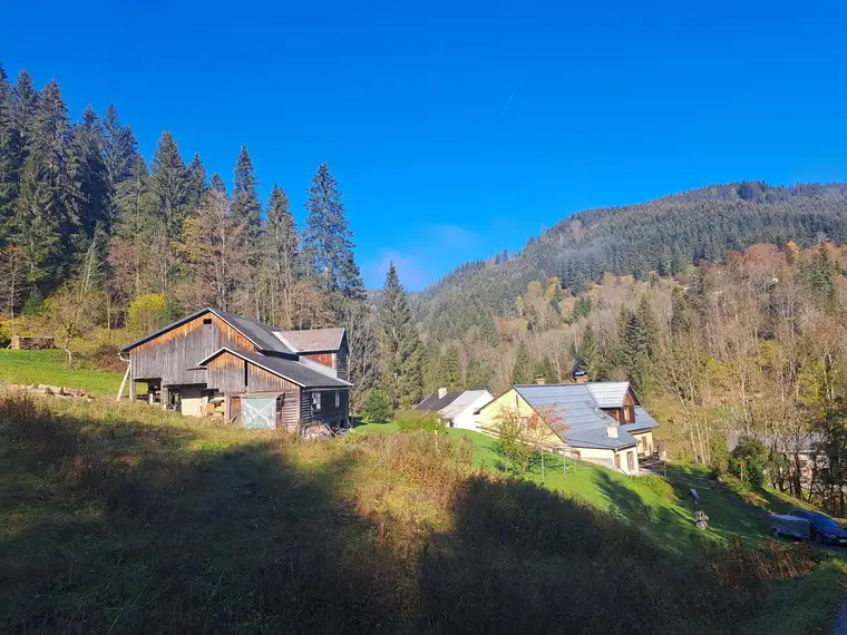 9 ha Bauernhof Nähe Mariazell
