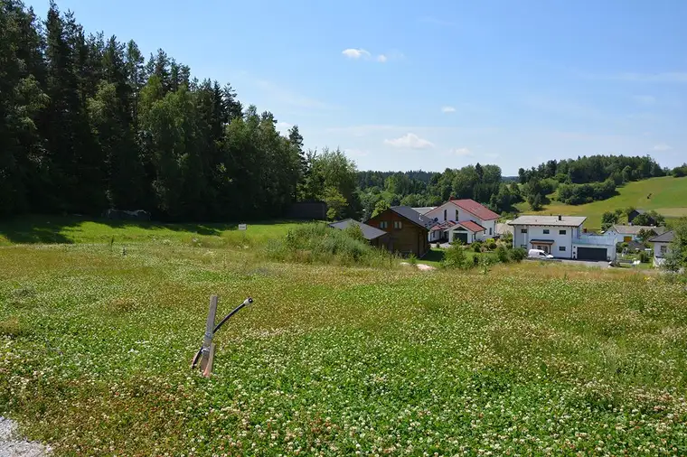 Siedlung in Etzen - Baugrund Parzellen Nr. 1078/6