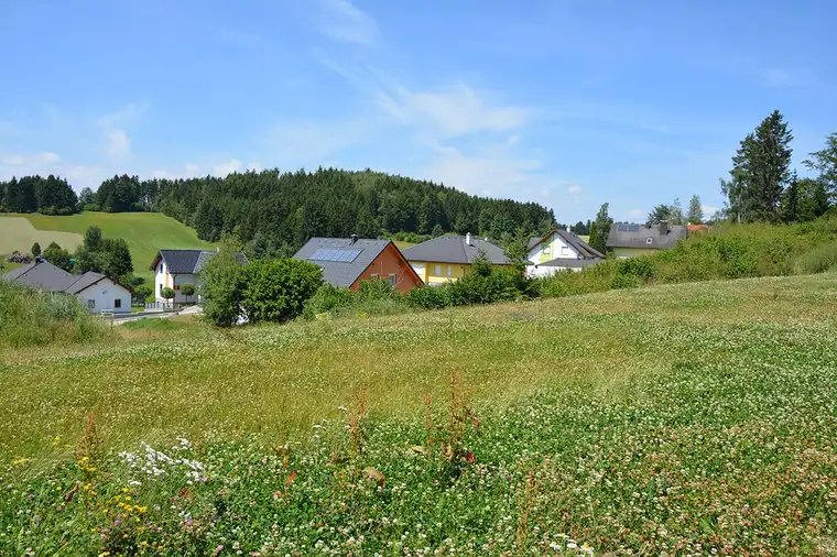 Siedlung in Etzen - Baugrund Parzellen Nr. 1100/2