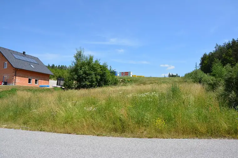 Siedlung in Etzen - Baugrund Parzellen Nr. 1078/4